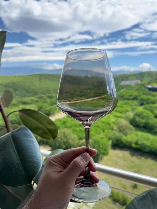 Copa de Vino Gris (X1)